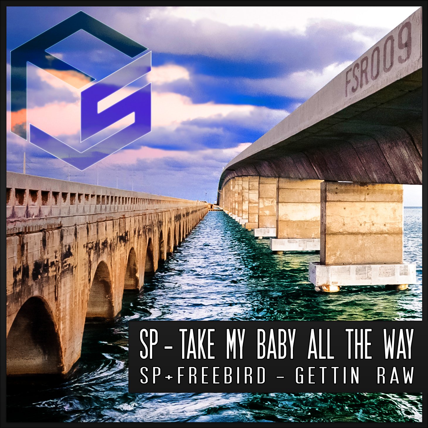 FSR009 album cover