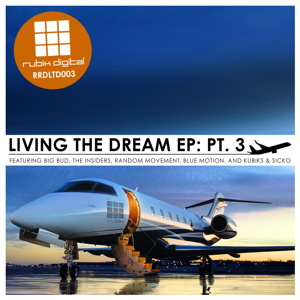 RRDLTD003 album cover