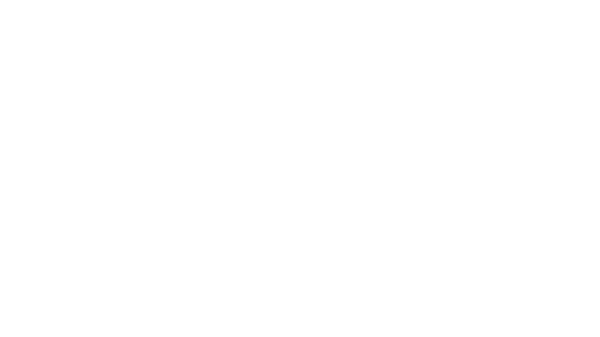 The 17th Segment logo